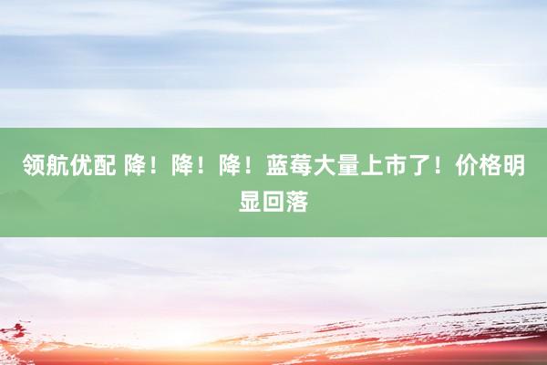 领航优配 降！降！降！蓝莓大量上市了！价格明显回落