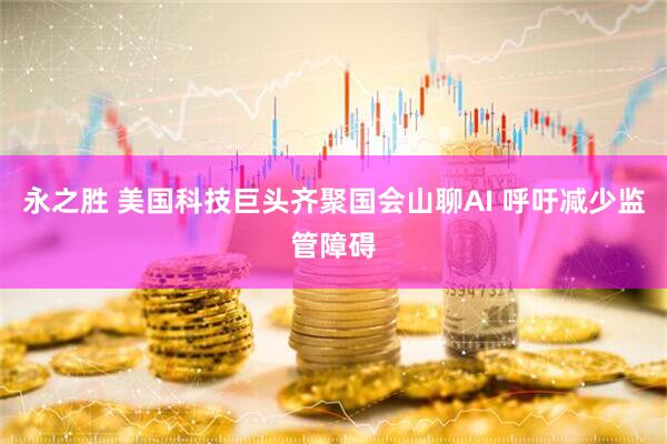 永之胜 美国科技巨头齐聚国会山聊AI 呼吁减少监管障碍