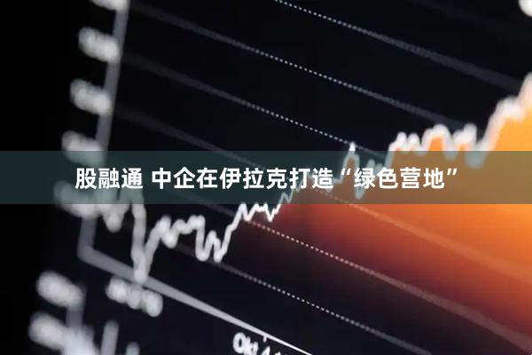 股融通 中企在伊拉克打造“绿色营地”