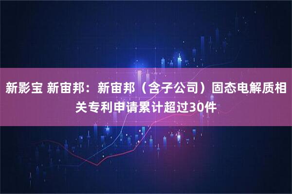 新影宝 新宙邦：新宙邦（含子公司）固态电解质相关专利申请累计超过30件